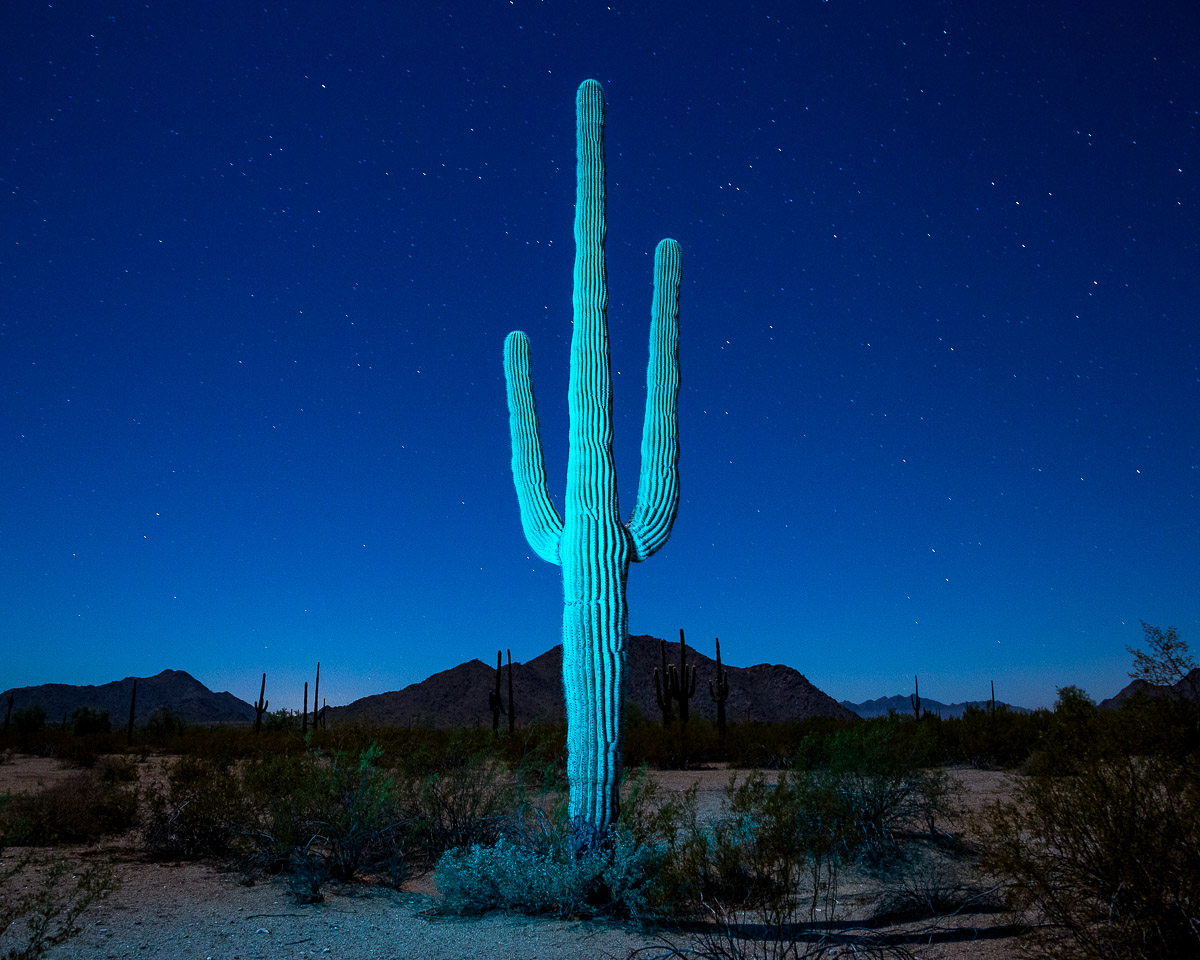 Illuminated